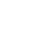 icon1